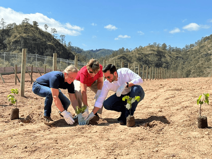 Aura Minerals lança projeto de vinícola em área minerada