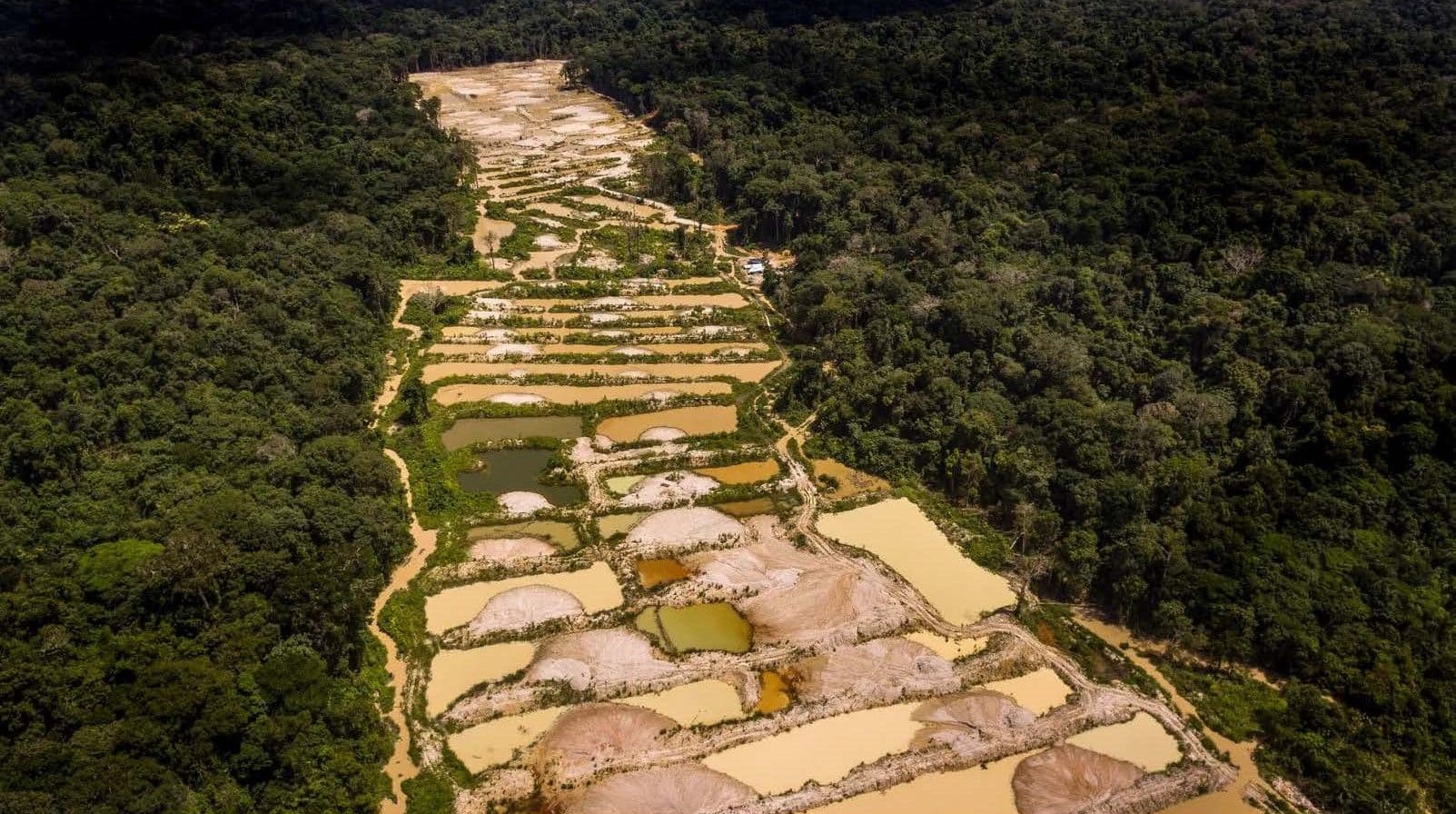 STF intima BC e ANM sobre atividade na Amazônia
