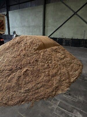 Sigma Lithium estima vender 300 mil t de rejeitos verdes
