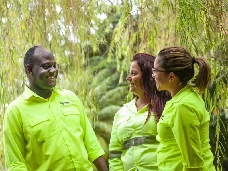 Mosaic recebe inscrições para vagas afirmativas de negros e mulheres