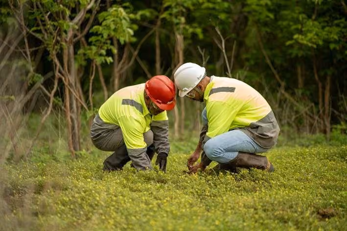 Galvani desenvolve projetos para recuperação ambiental da Caatinga